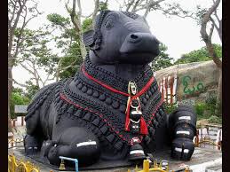 Sri Nandi Temple (Bull Temple) in Mysore, Temples in Mysore 